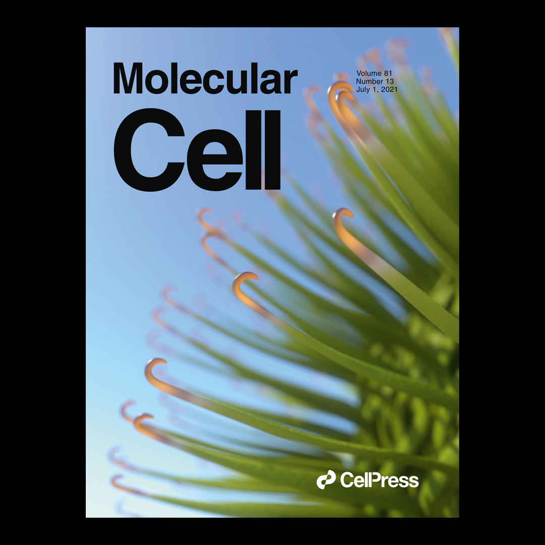 Molecular Cell Cover Volume 81 Number, 13 July 1, 2021